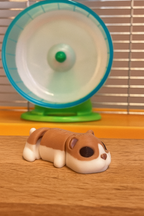 Hamster