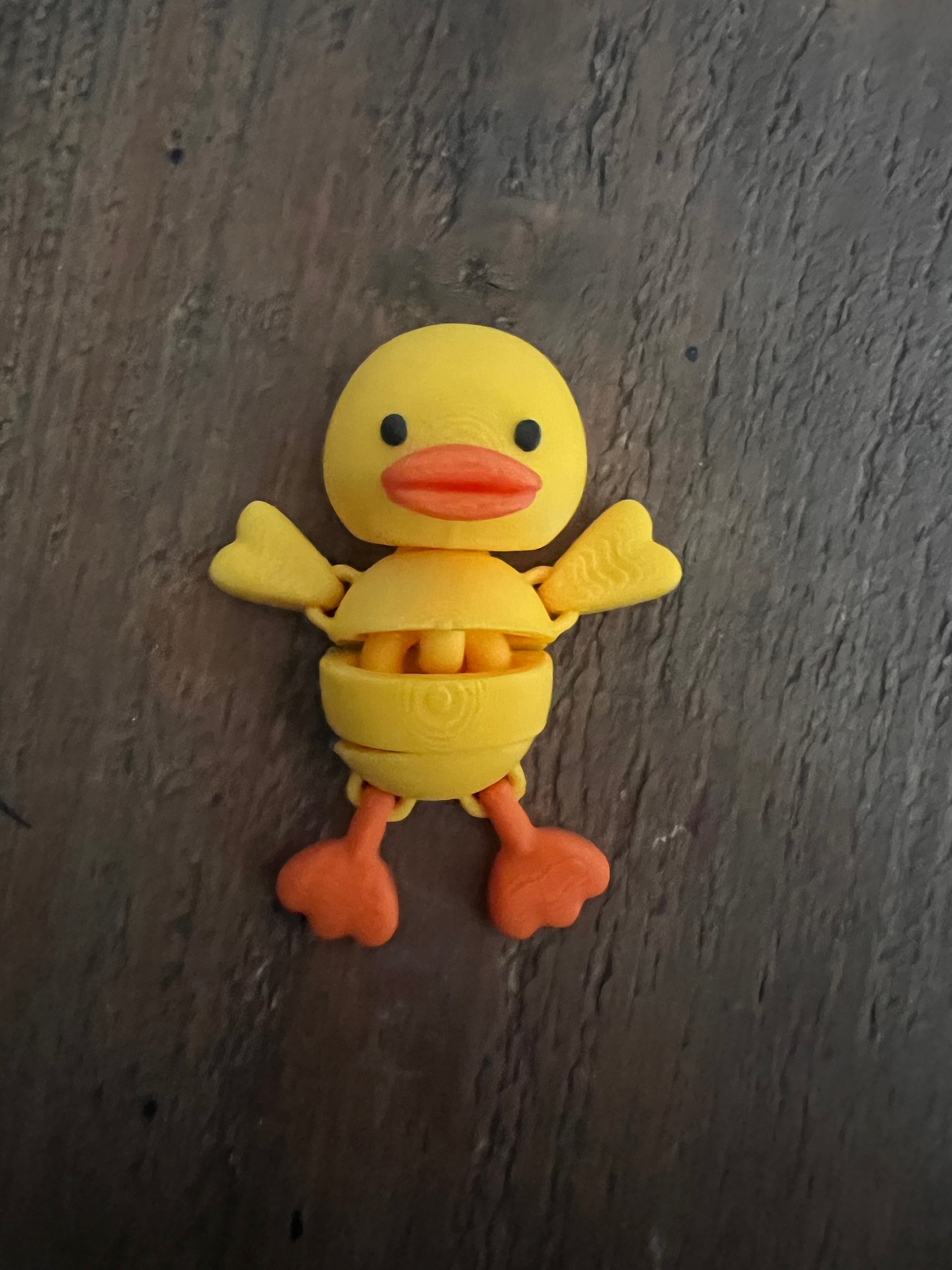 Baby Duck