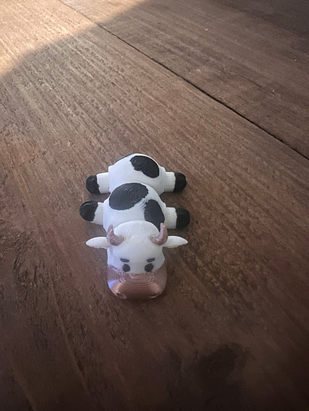 Cow