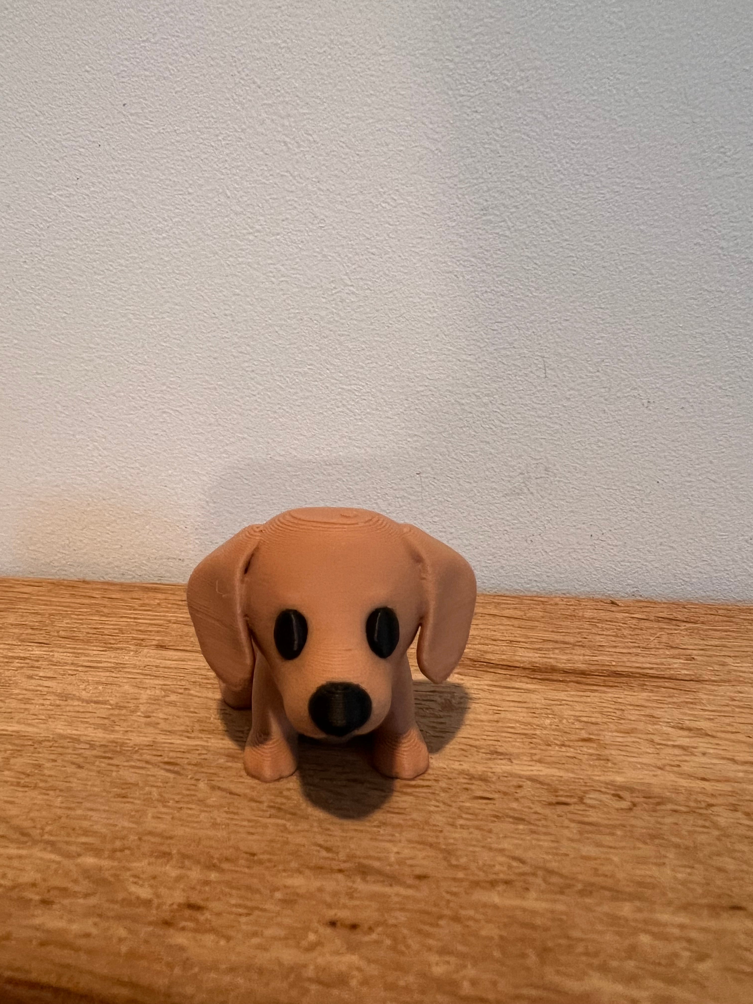 Puppy