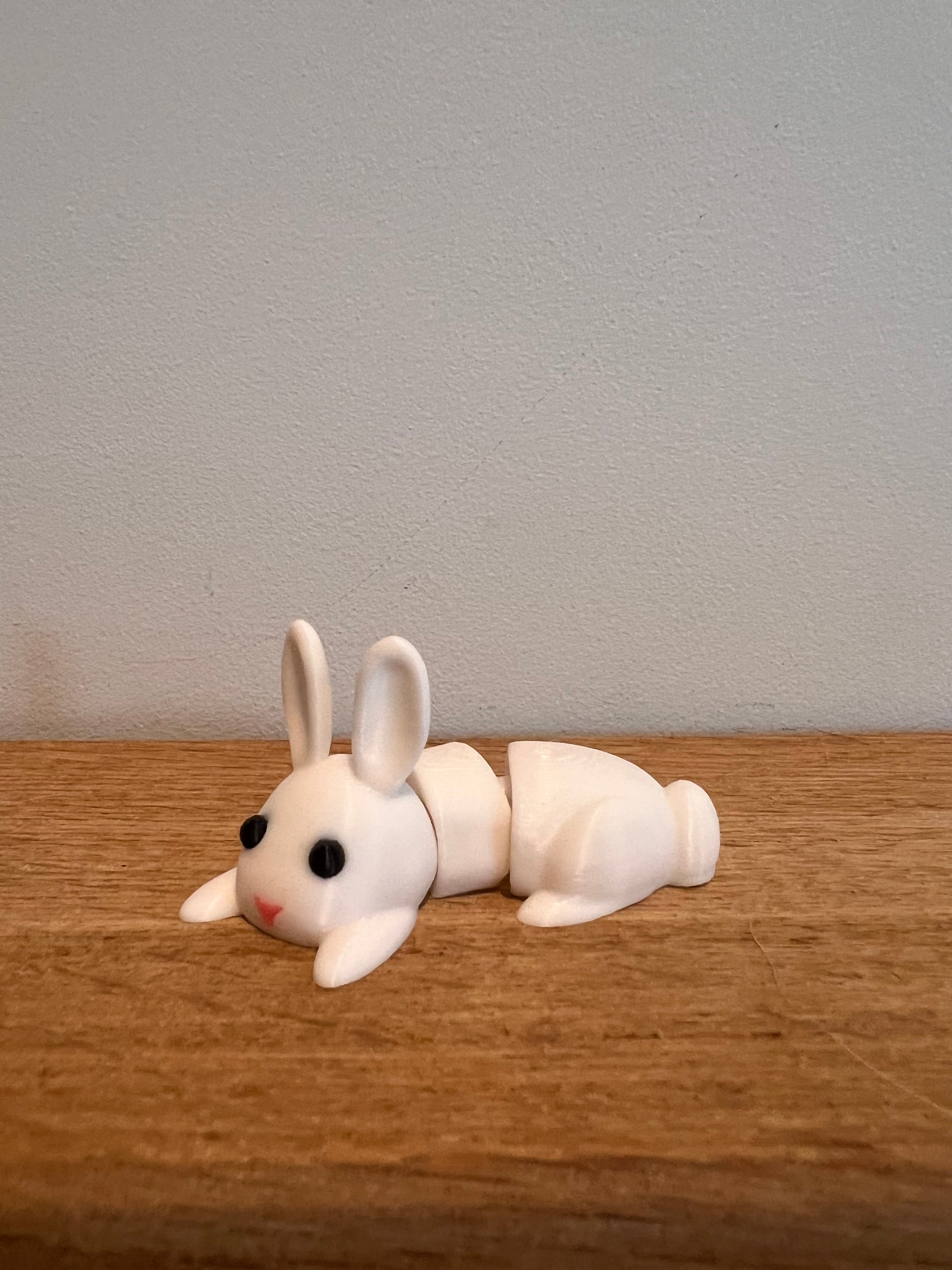 Rabbit