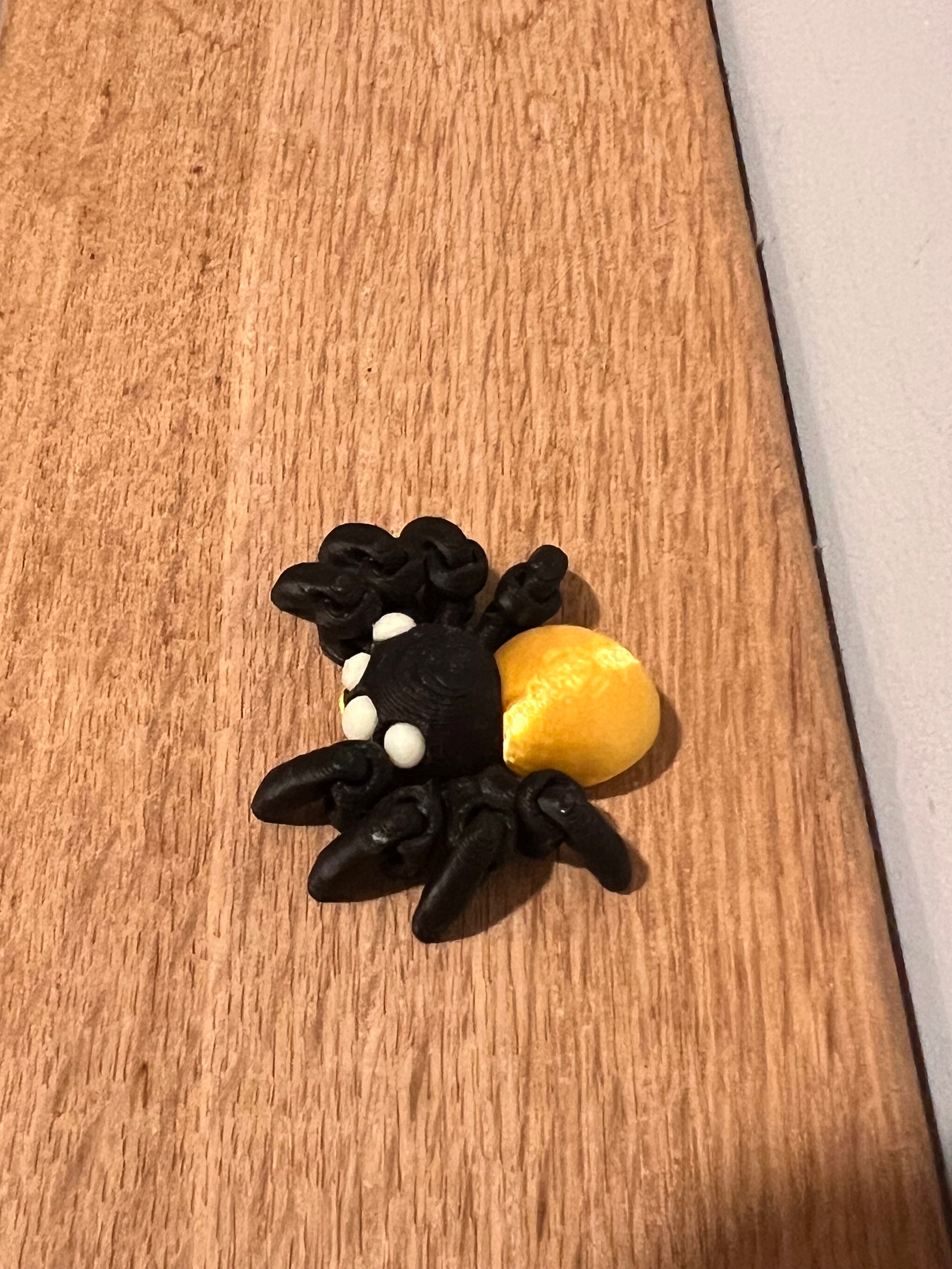 Spider
