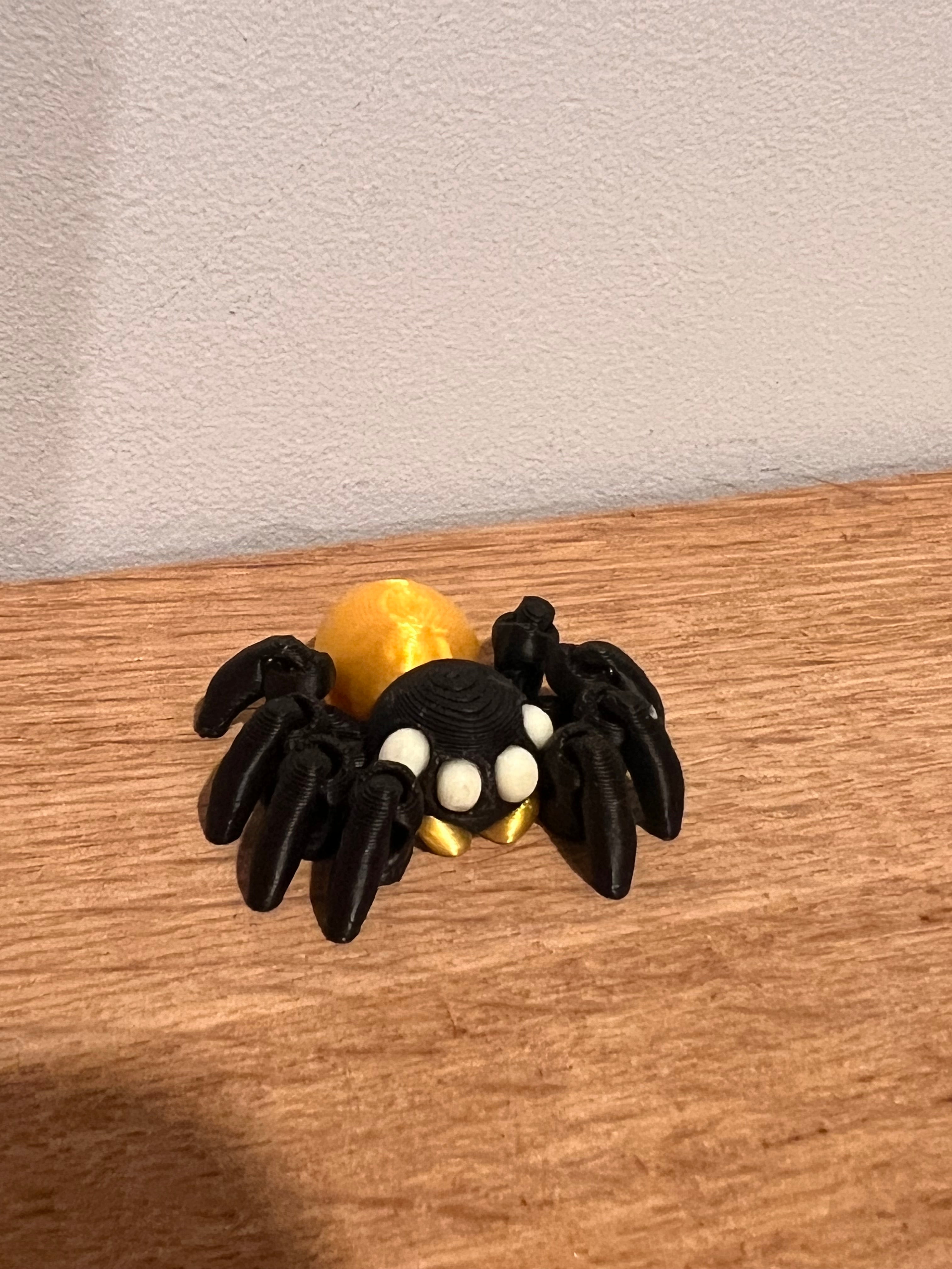 Spider