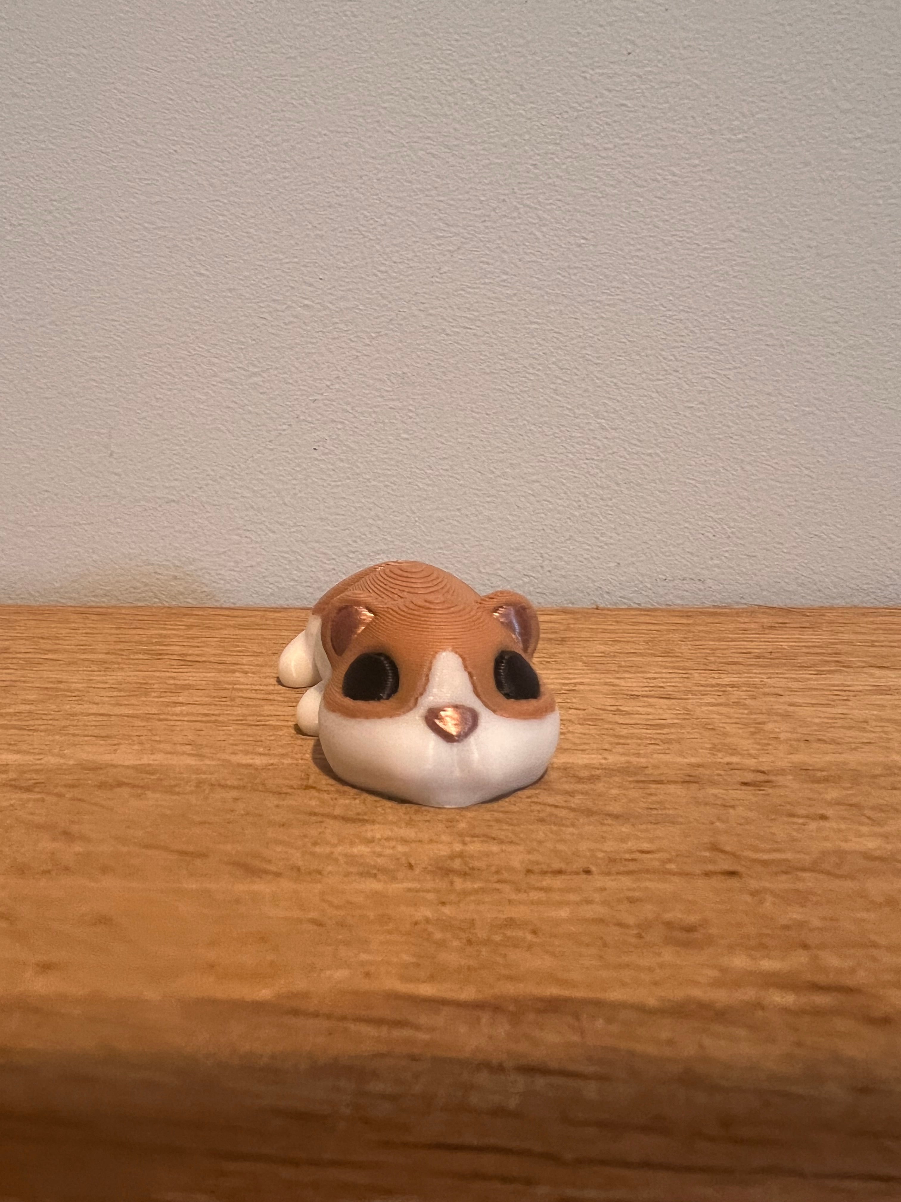 Hamster