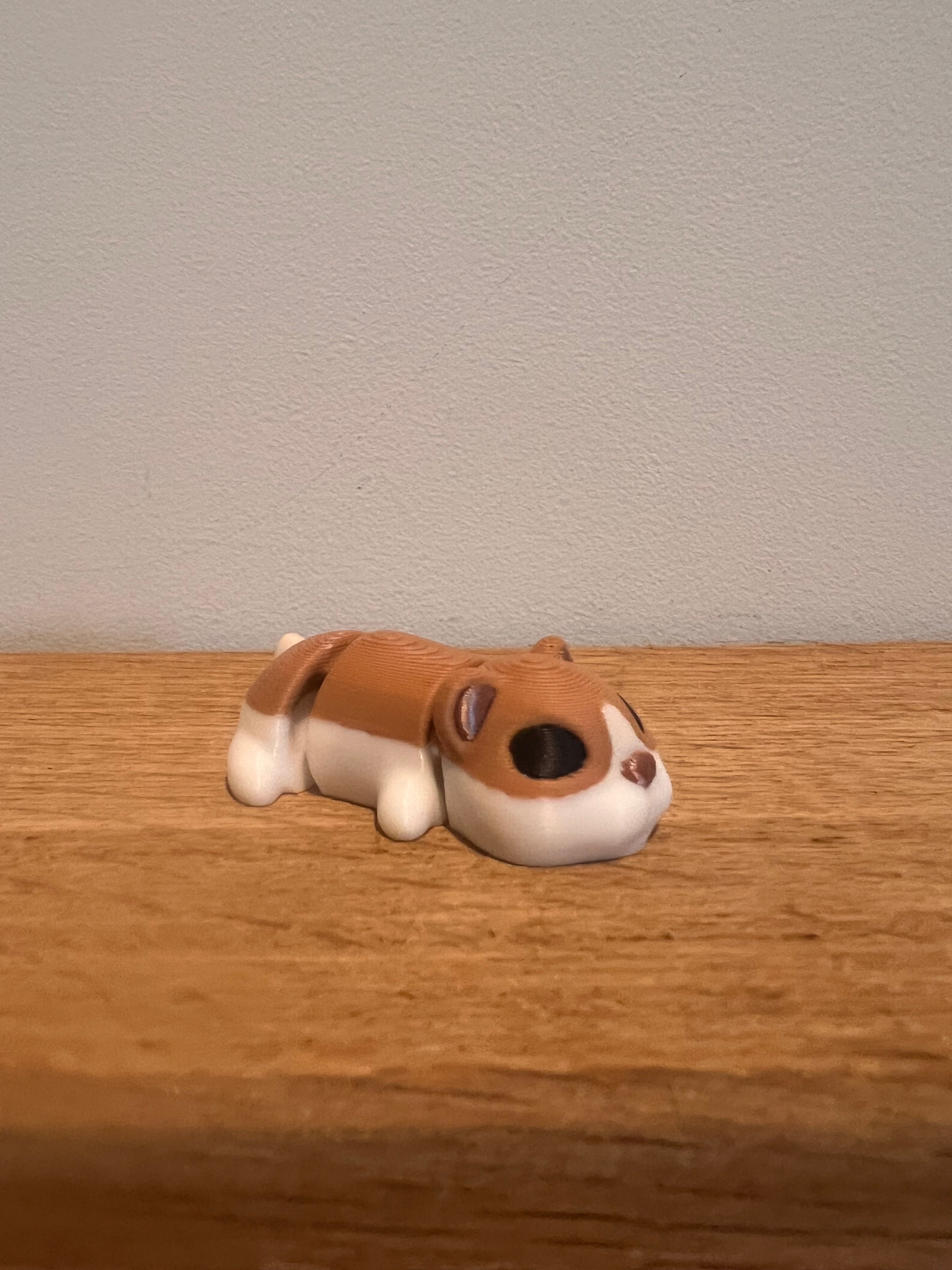 Hamster