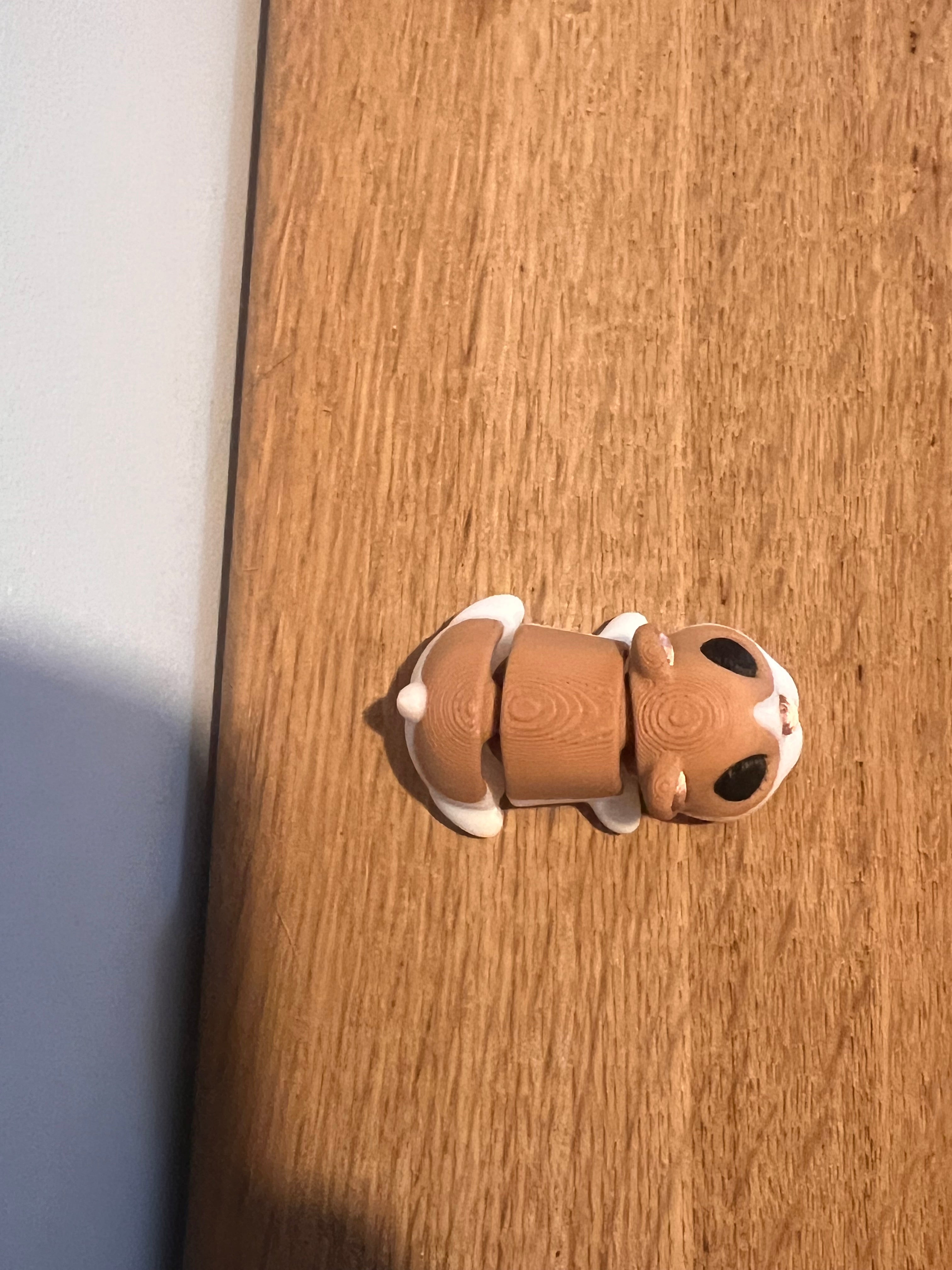 Hamster