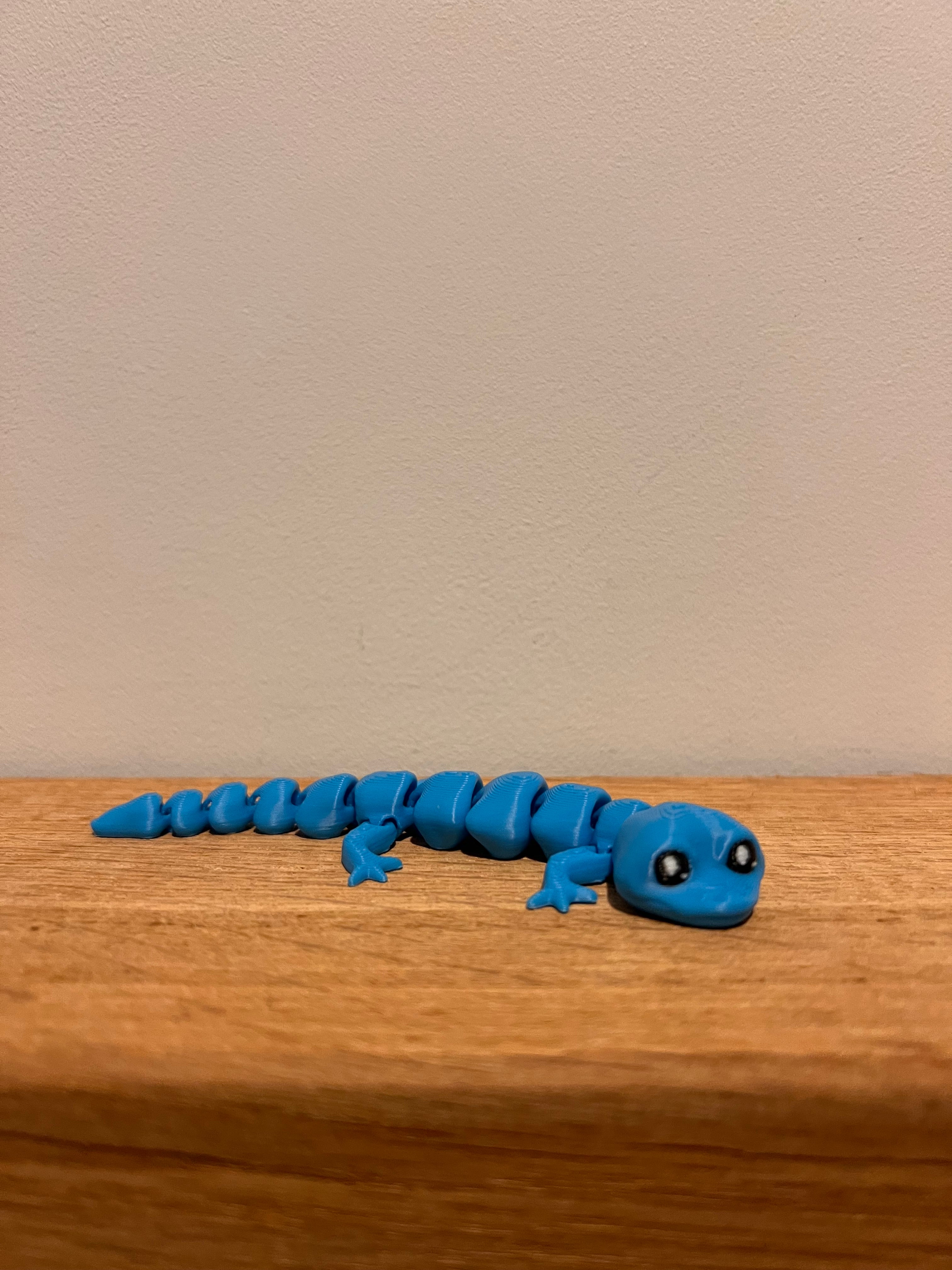 Lizard