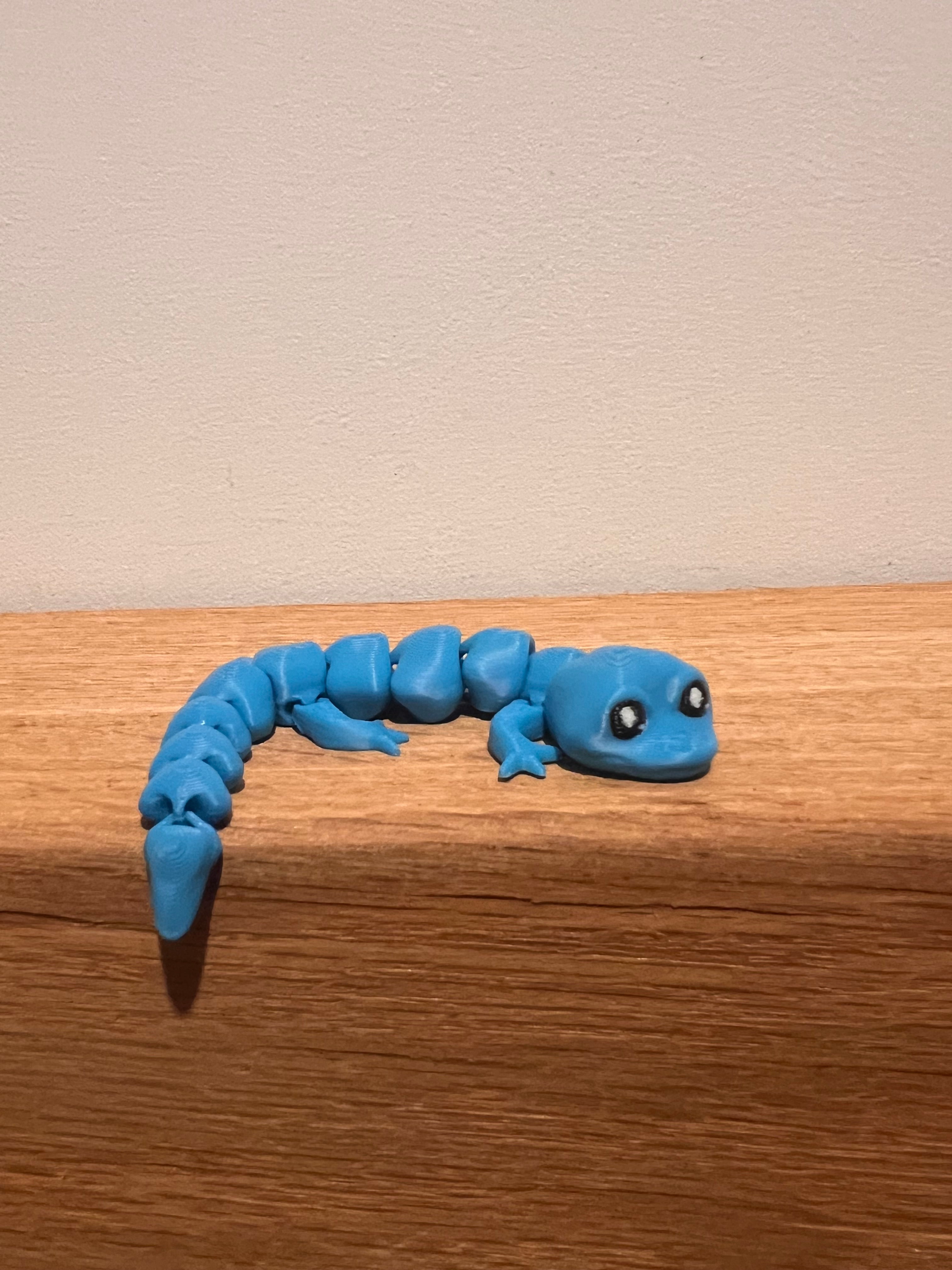 Lizard