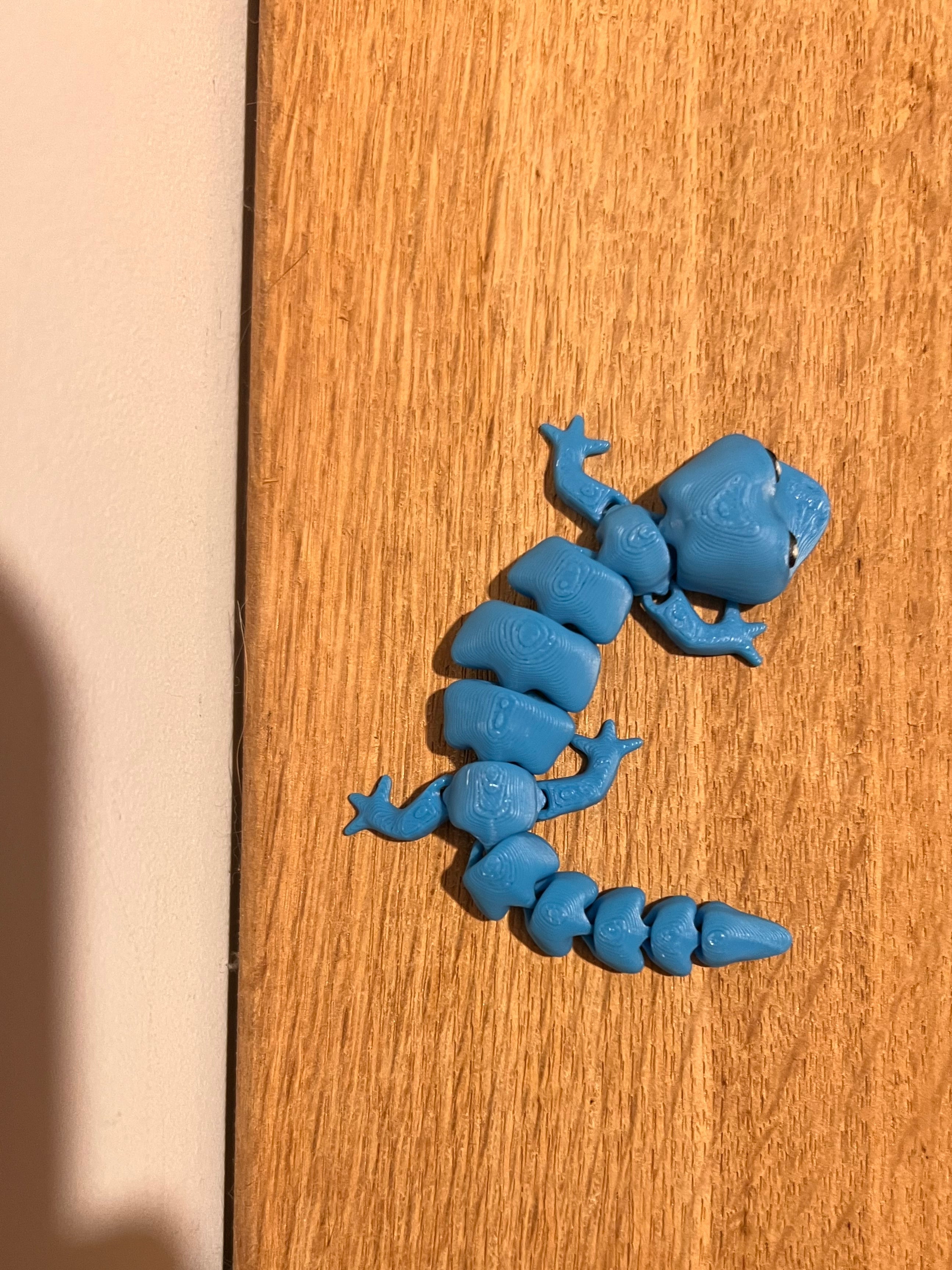 Lizard