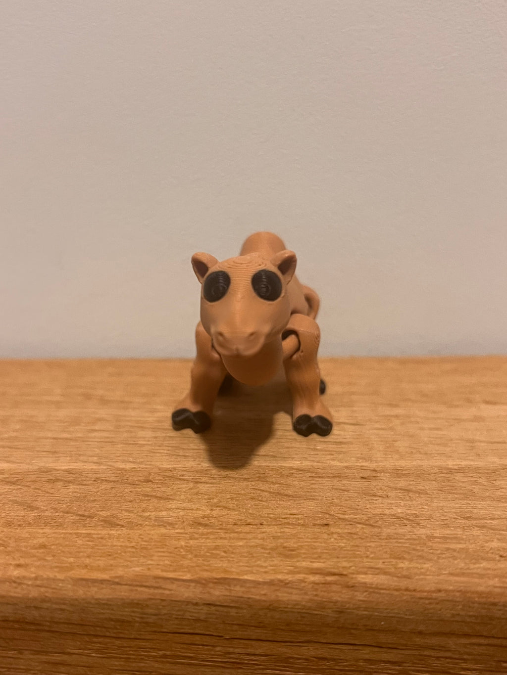 Camel