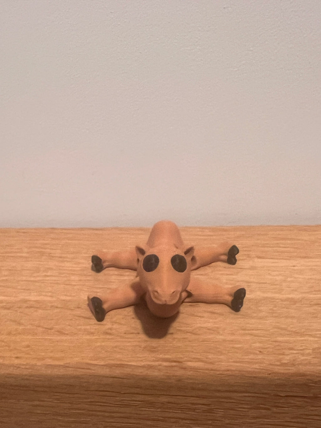 Camel