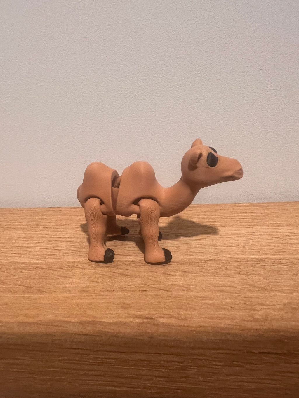 Camel